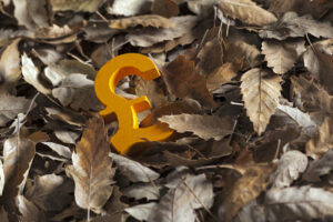 uk expat autumn market